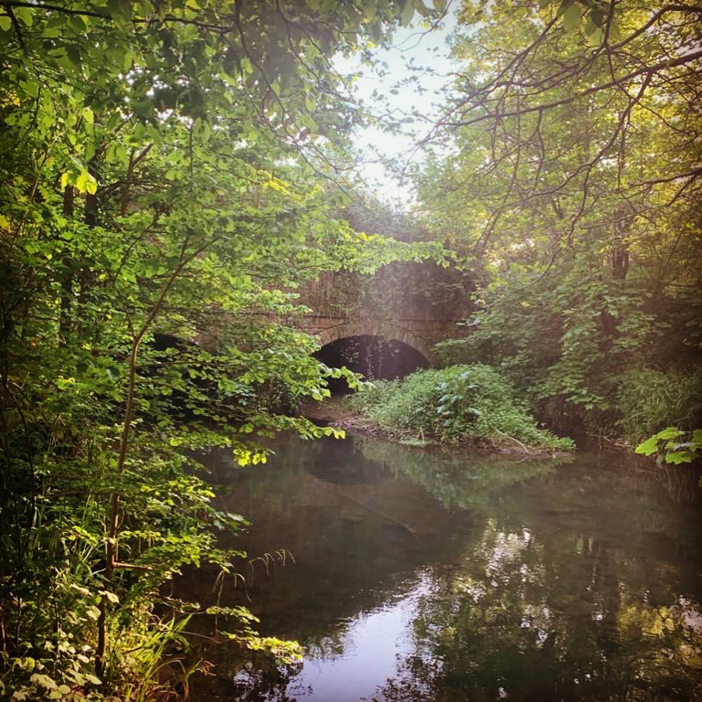 Somerset countryside near Somerleaze House