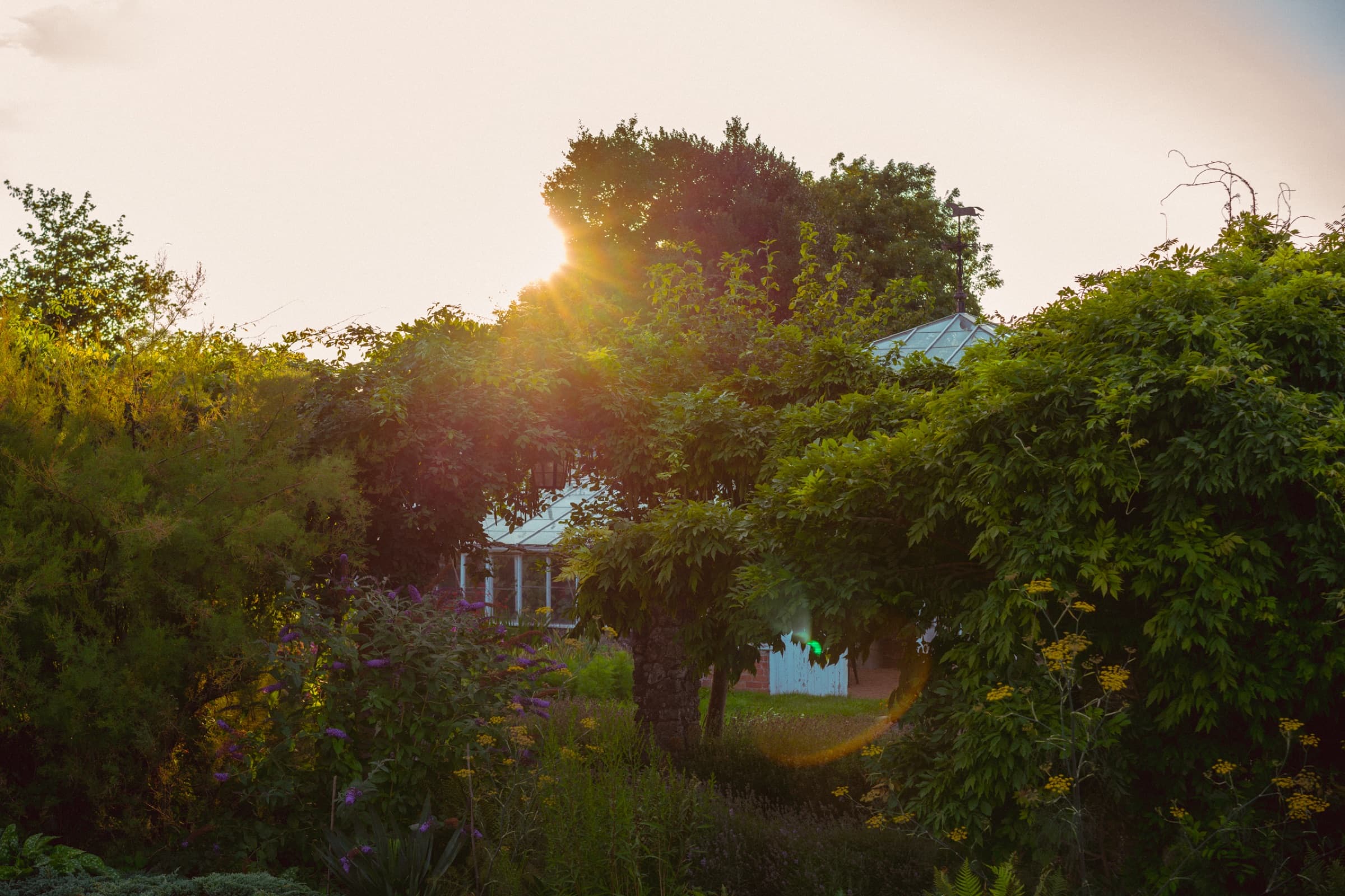 Somerleaze House gardens at golden hour